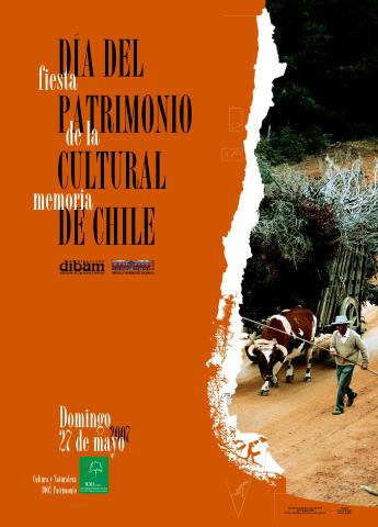 Afiche DPC 2007